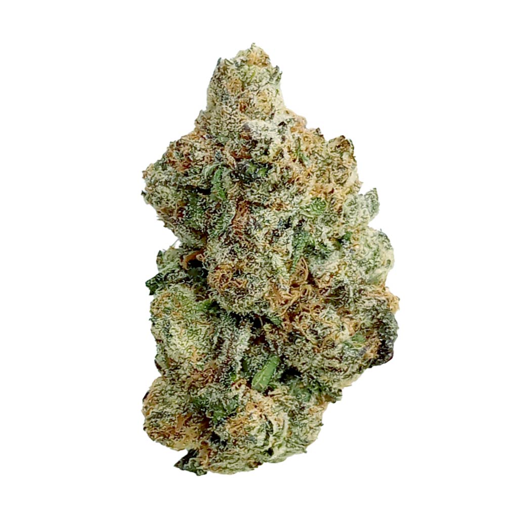 Lemon Cherry Gelato Cam